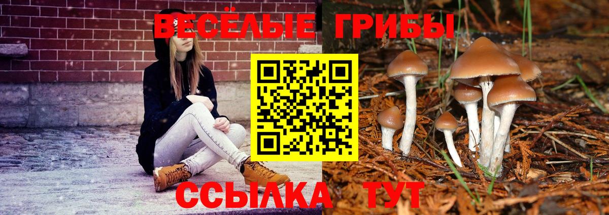 купить наркоту  Галлюциногенные грибы прущие грибы  Вход с VPN  Сызрань 